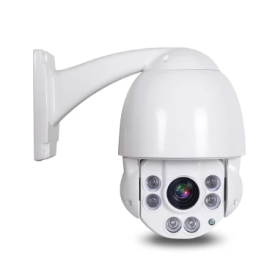 Waterproof Infrared Surveillance Security CCTV IR High Speed PTZ Dome IP Camera